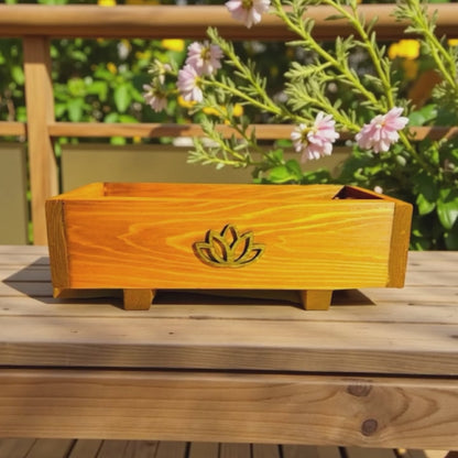 Cedar Geta Inspired Box for Home Storage or Plants